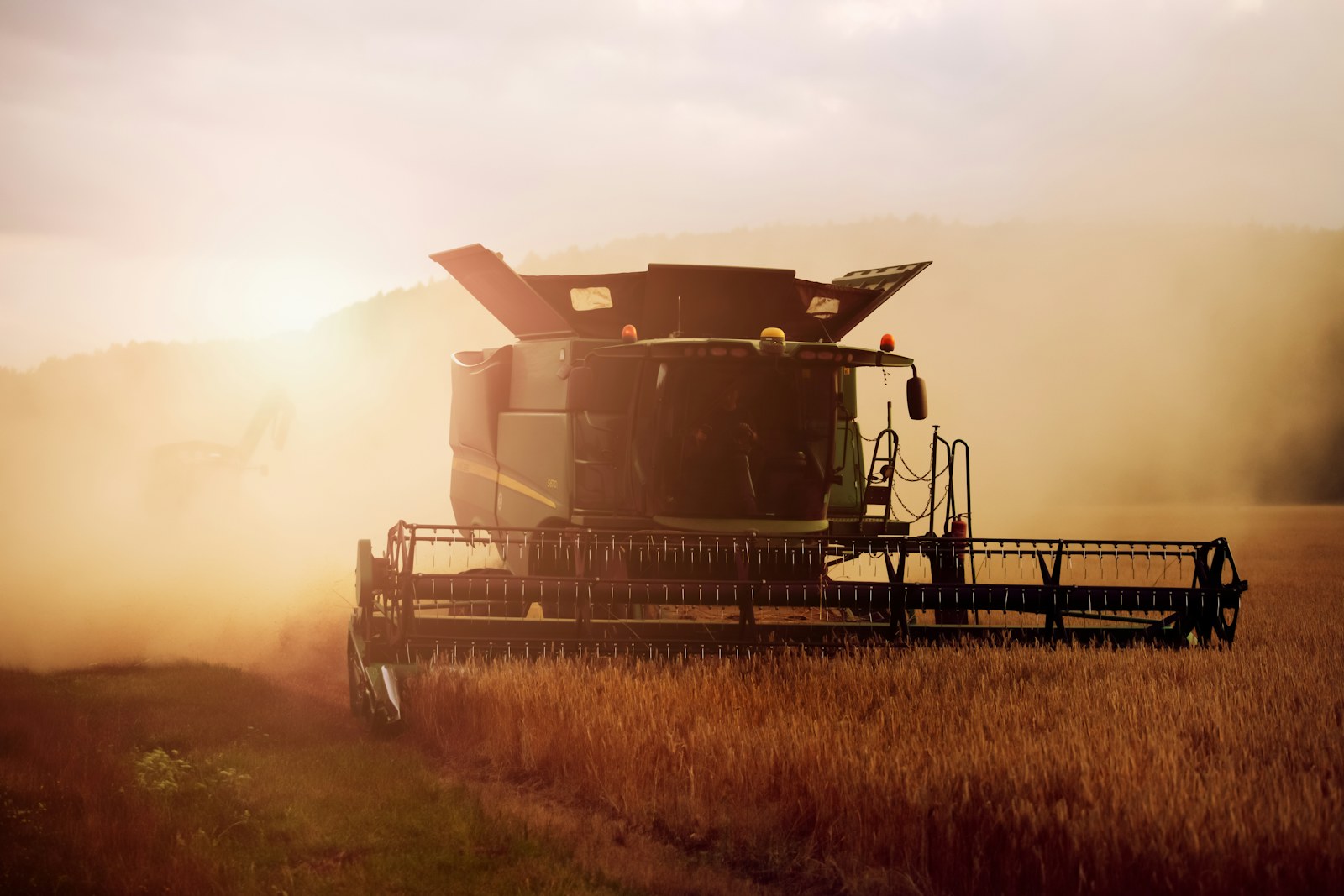 Parcelas agrícolas verdes organizadas en líneas de cultivo